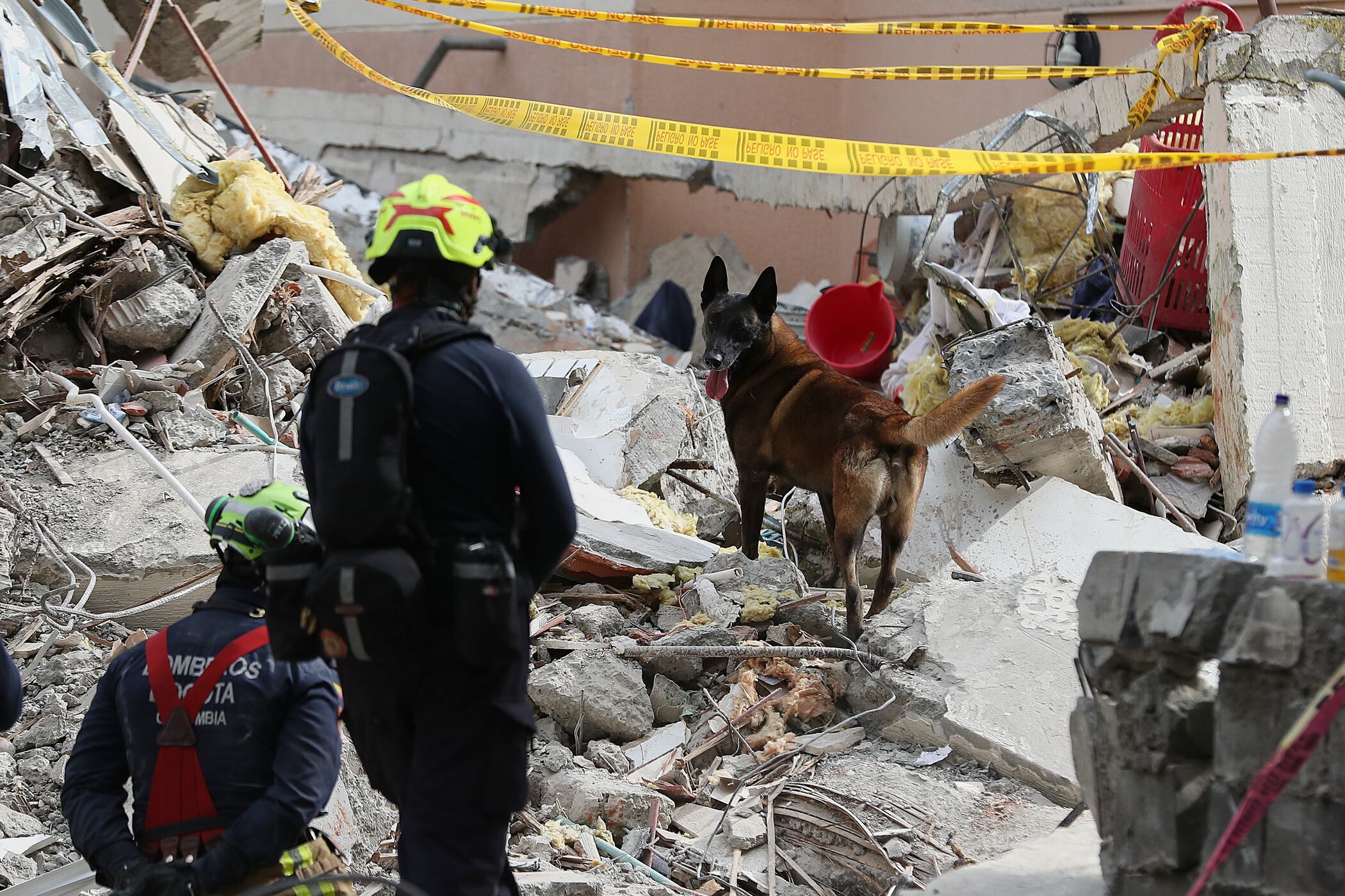 Bomberos y un perro de búsqueda recorren los escombros después del terremoto en Colombia